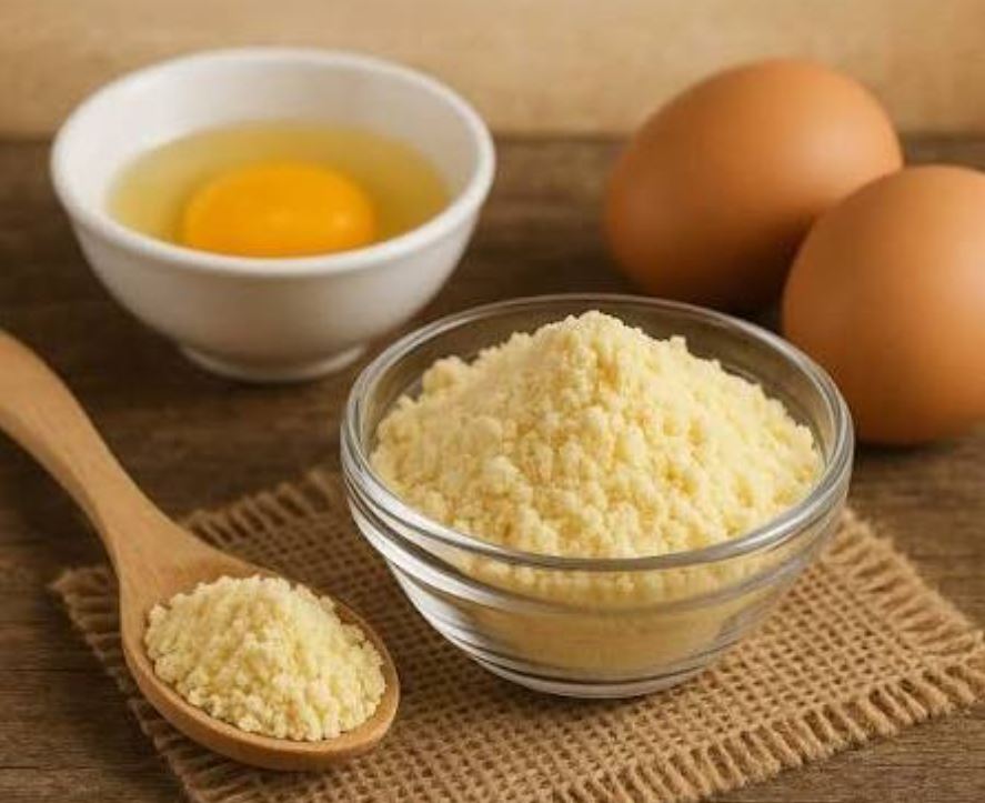 Odisha's &lsquo;Golden Egg&rsquo; Enters Europe as Balangir Firm Exports First Dried Egg Powder Consignment to Austria